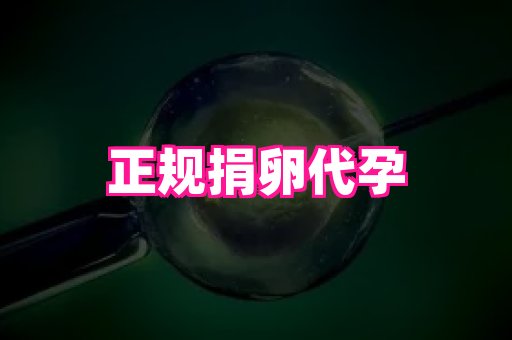 61助孕网 3